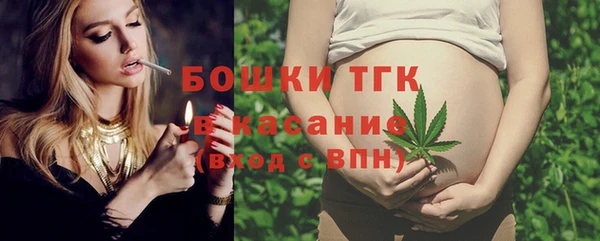 дживик Гусев