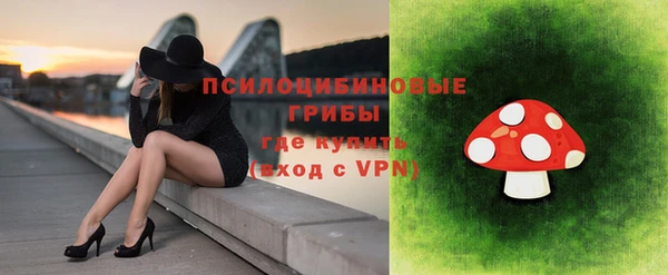 хмурый Дмитриев