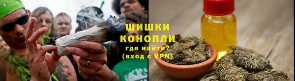 дживик Гусев