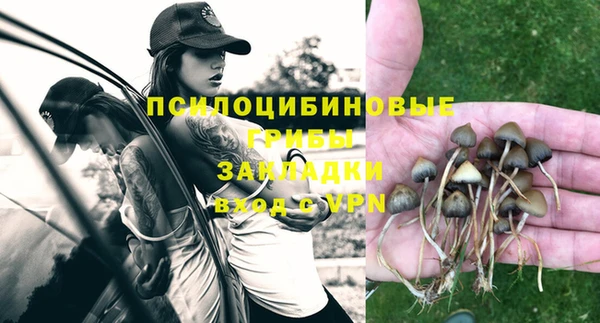 дживик Гусев