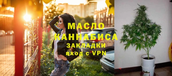 хмурый Дмитриев
