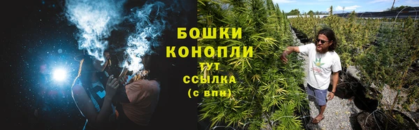 Альфа ПВП Гусиноозёрск
